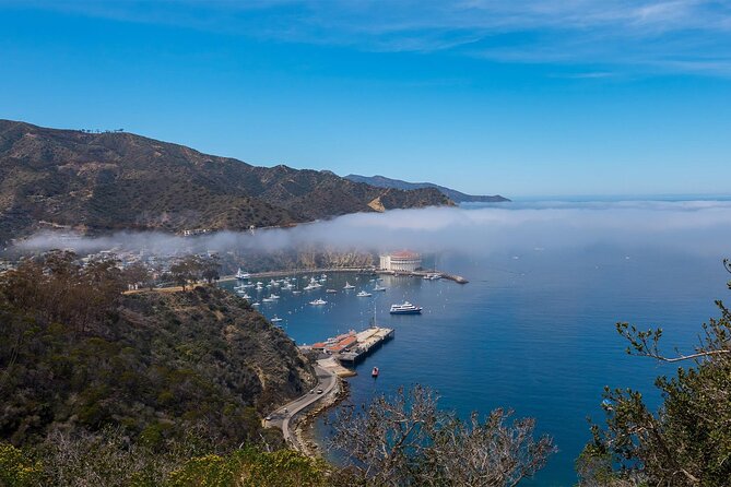2 hour Inside Adventure Tour on Catalina Island - Key things to know before you go