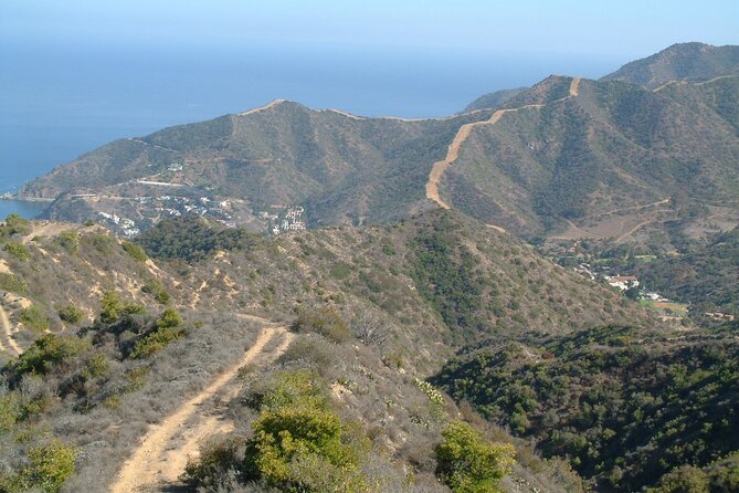 2 hour Inside Adventure Tour on Catalina Island - The $86 value: what you’re really paying for