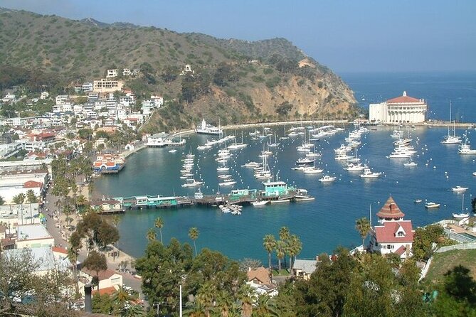 2 hour Inside Adventure Tour on Catalina Island - What you’ll do once you’re ten miles into the interior