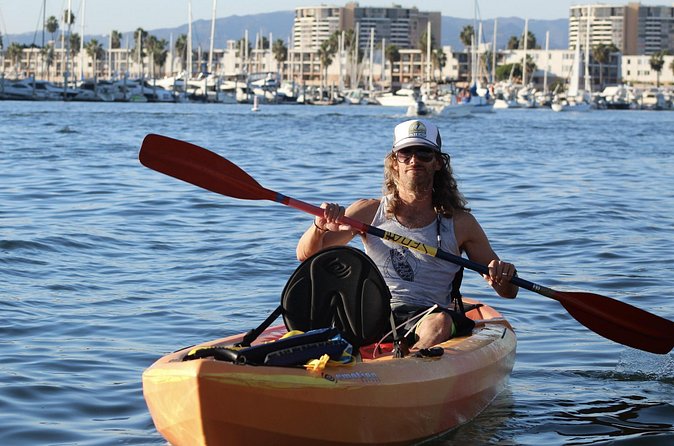 2-Hour Kayak or Paddleboard with Sea Lions in Marina del Rey - Price and Value: Is $79 Worth It?