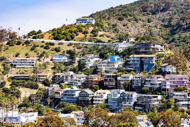 2 Hour Private Tour of Avalon - Who this Avalon private tour is best for, and who should skip it