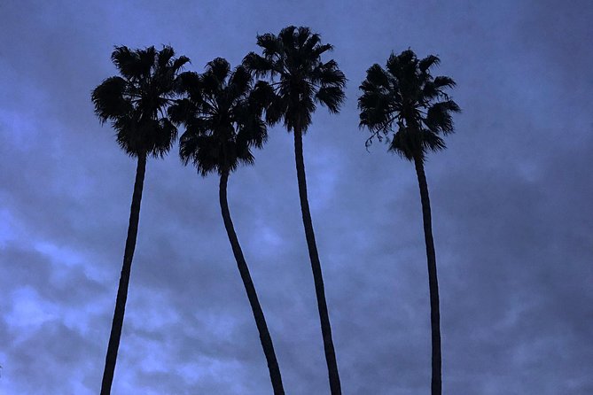 3.5 Hour Coastal Tour of Santa Monica, Venice Beach and Malibu - Should You Book This Santa Monica, Venice Beach, and Malibu Tour?