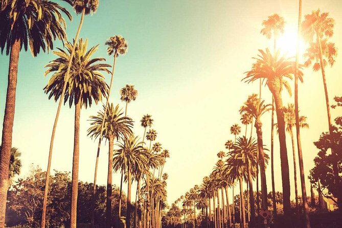 3.5-Hour LA Story Tour: Our Most Popular Los Angeles Tour! - Sunset Strip energy, Paramount photo gates, and the tar pit stop