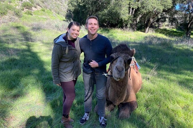 3 Hour Camel Trek into the Forest and Ranch in California - Camel trek into the forest: the ride, the picnic, and the 30-minute reset