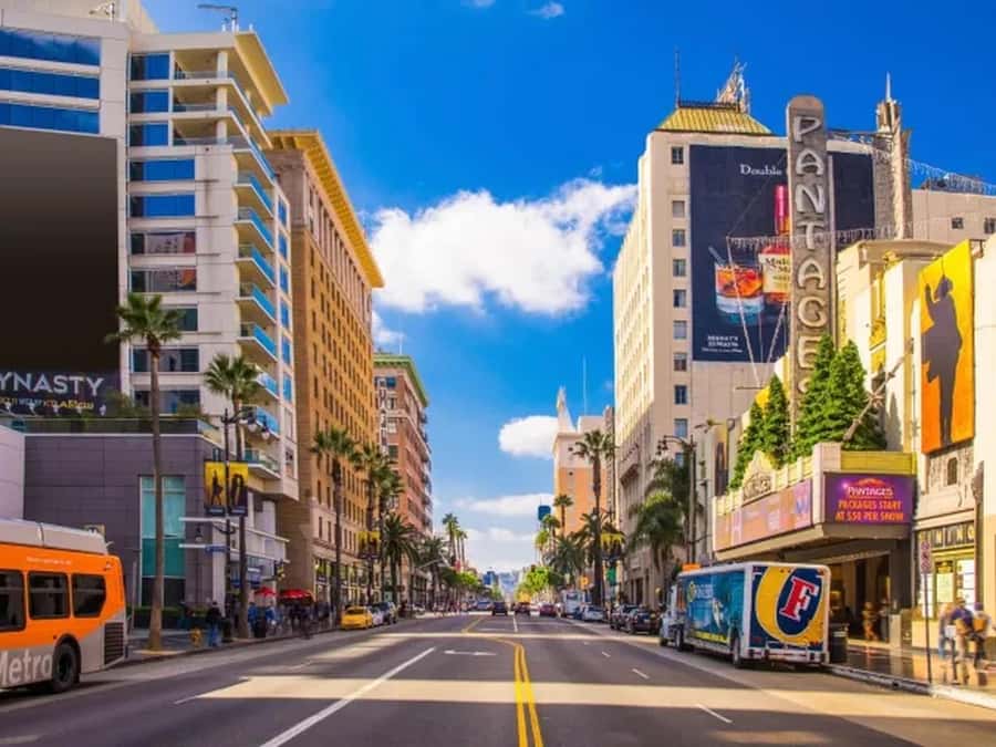 Anaheim: Hollywood Grand Tour with Hotel Pickup - Venice Beach: Muscle Beach energy and street-level Los Angeles
