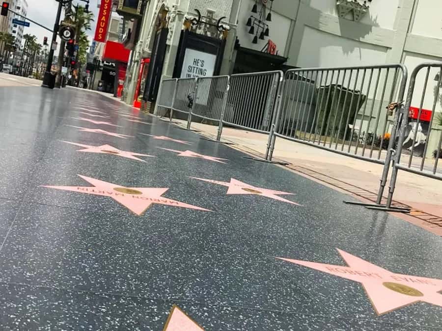Anaheim: Hollywood Grand Tour with Hotel Pickup - The Chinese Theatre handprints and the Walk of Fame: the best part if you like foot-level details
