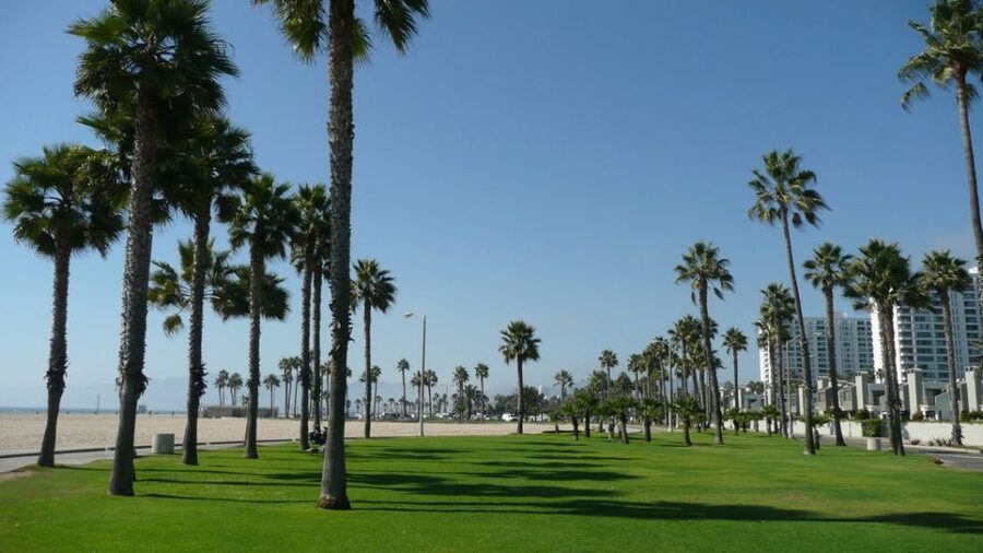 Best of Los Angeles Day Tour with German-Speaking Guide - Practical tips for the day, so you do not lose time