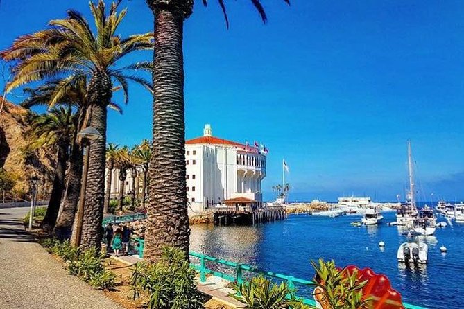 Casino VIP Backstage Tour - Step inside Catalina Casino like a VIP