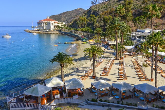 Catalina Express: Avalon to San Pedro One-Way Ferry - Onboard snacks and refreshments, so you do not show up starving