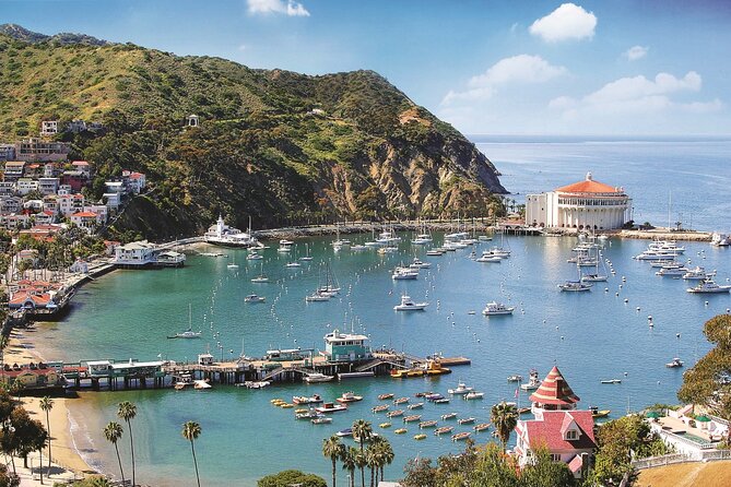 Catalina Express: Avalon to San Pedro One-Way Ferry - Value check: does $47 for a one-way make sense?