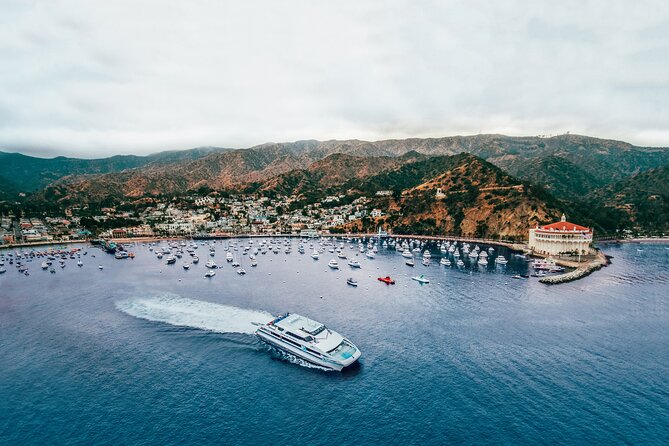 Catalina Express: Avalon to San Pedro One-Way Ferry - Where you board and where you arrive in San Pedro