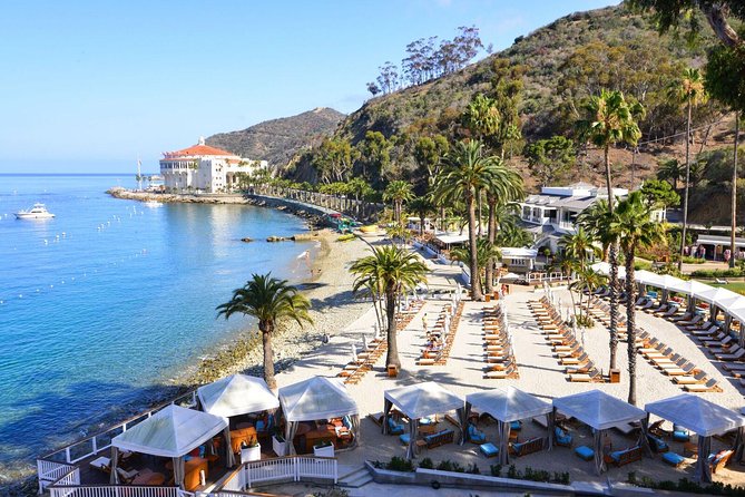 Catalina Express: San Pedro to Avalon One-Way Ferry - Should you book this one-way ferry?