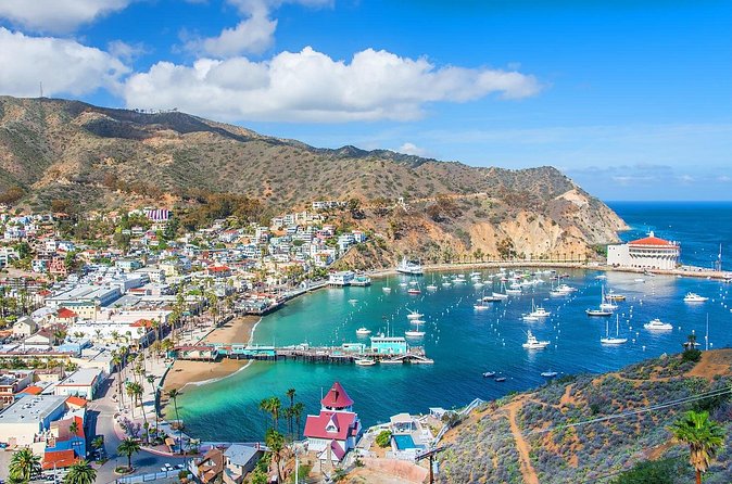 Catalina Island Avalon Highlights Walking Tour - Stop 5: Scoops, Dessert is Not an Afterthought