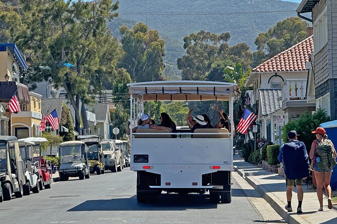 Catalina Island City and Scenic Mt Ada Tour - Key things I’d circle before you go
