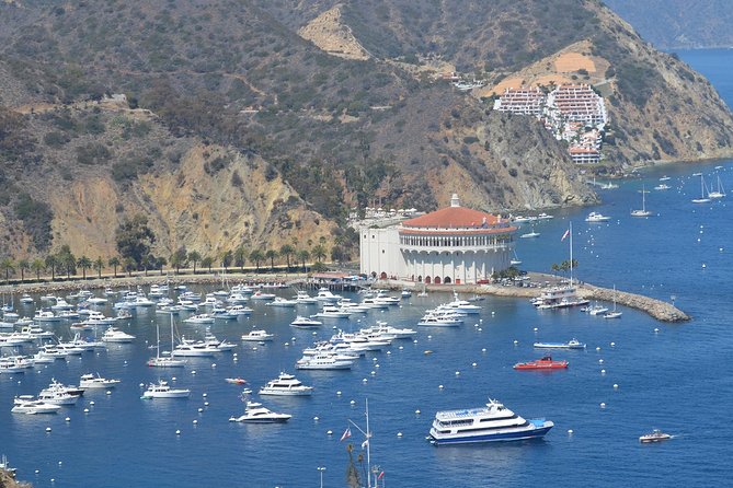 Catalina Island Day Trip from Anaheim Hotels with Discover Avalon Tour - From Anaheim hotels to Catalina Island, starting at 8:00 am