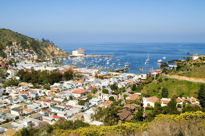Catalina Island Day Trip from Anaheim Hotels with Discover Avalon Tour - Small-group touring with a nine-person ceiling, plus a realistic expectation