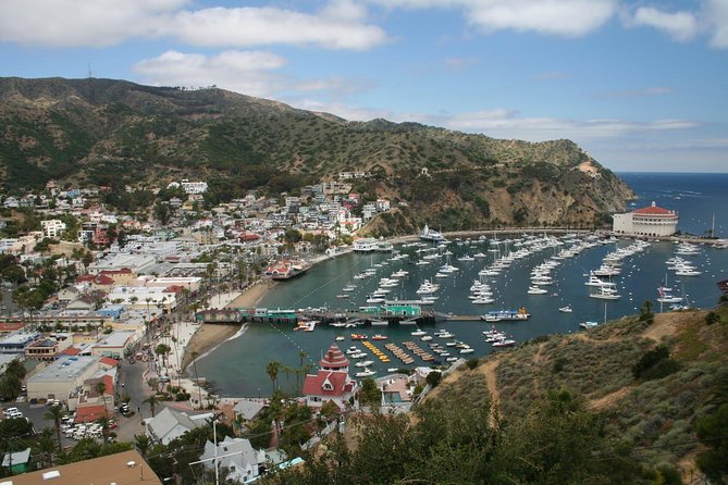 Catalina Island Day Trip from Anaheim Hotels with Discover Avalon Tour - Communication and photo opportunities: what to plan for