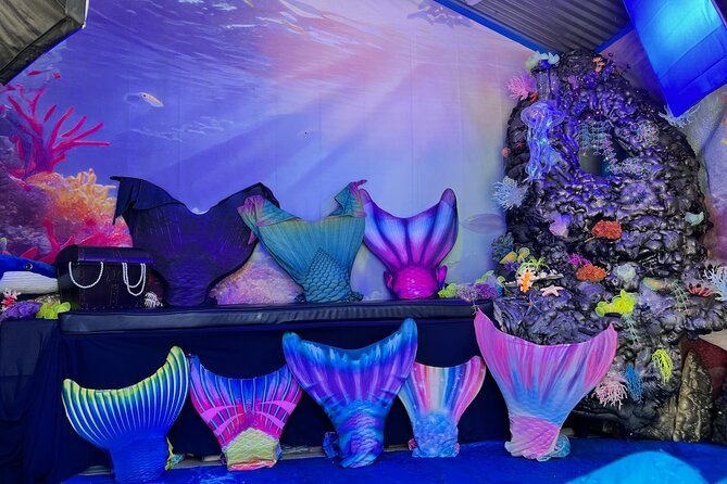 Catalina Island Mermaids Transformation - Quick hits before you pick your tail