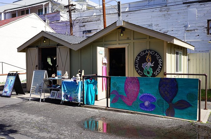 Catalina Island Mermaids Transformation - Price and value: what $35 buys you in real terms