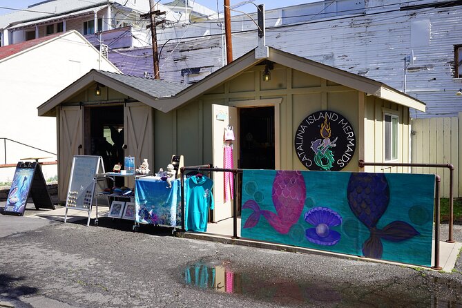 Catalina Island Mermaids Transformation - Should you book Catalina Island Mermaids?