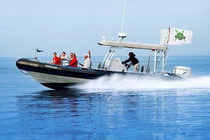 Catalina Island Trip with Hotel transfers & Optional tours - A Quick City Break: Why This Catalina Day Feels Worth the Drive