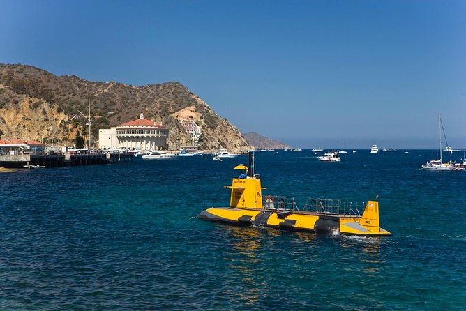 Catalina Island Trip with Hotel transfers & Optional tours - Go Under or Go High: Undersea Expedition and Zipline Options