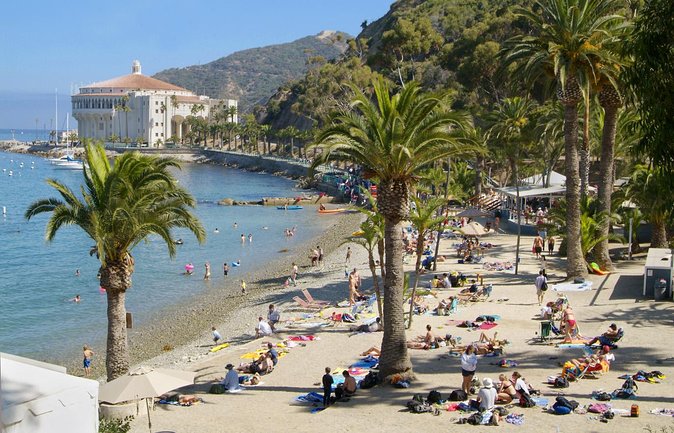 Catalina Island w/Discover Avalon Scenic Tour & Hotel transfers - Anaheim to Avalon, the easy way to do Catalina Island