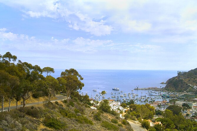 Catalina Island w/Discover Avalon Scenic Tour & Hotel transfers - Green Pleasure Pier, beach time, and the Casino Ballroom photo stops
