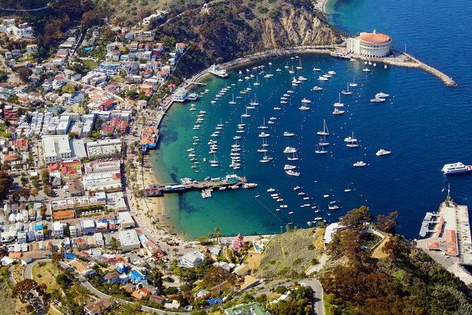 Catalina Island w/Discover Avalon Scenic Tour & Hotel transfers - Free exploration in Avalon: shops, restaurants, and Descanso Beach Club