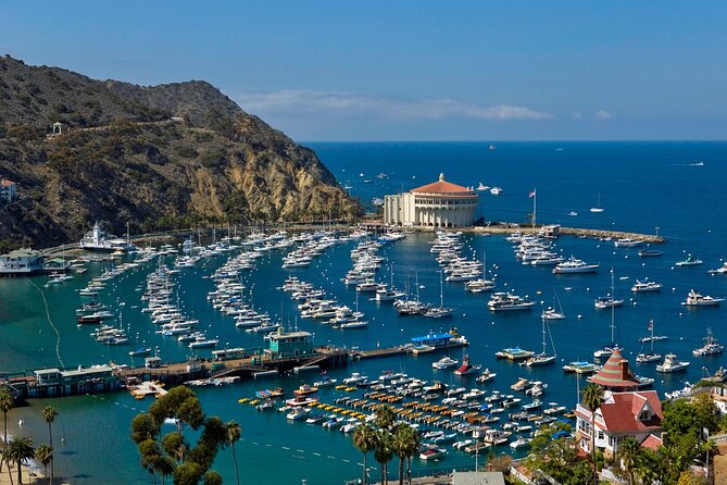 Catalina Island w/Discover Avalon Scenic Tour & Hotel transfers - How long you really get, and why the ferry schedule matters