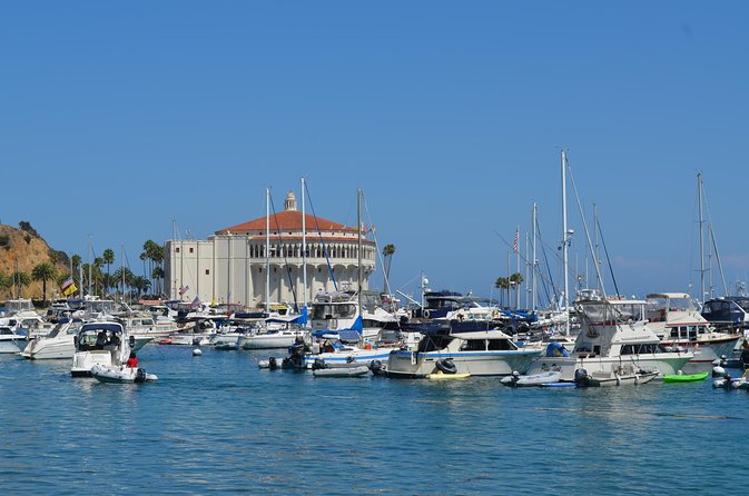 Catalina Island w/Discover Avalon Scenic Tour & Hotel transfers - Hotel pickup and ferry logistics, and where people can get stuck