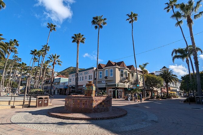 Catalina Scavenger Hunt Walking Tour and Game - Key takeaways before you play