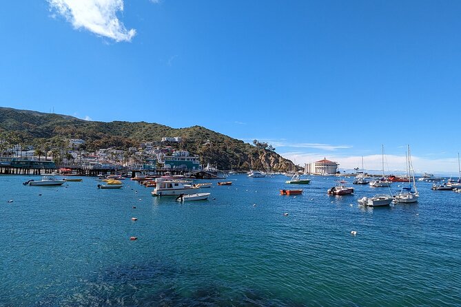Catalina Scavenger Hunt Walking Tour and Game - Start at Green Pleasure Pier: your easy jump-off point