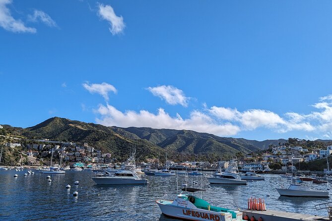 Catalina Scavenger Hunt Walking Tour and Game - How the scoring and leaderboard changes the vibe