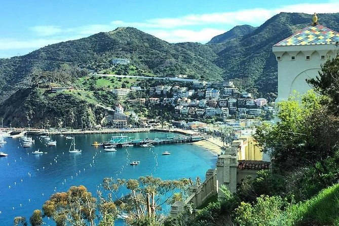 Discover Avalon: Catalina Scenic Tour - Key Highlights That Make This Tour Worth It