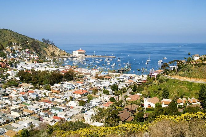 Discover Avalon: Catalina Scenic Tour - Settling Into Avalon: A Small-Group Ride That Gets You Oriented