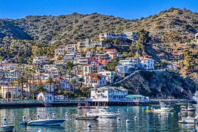 Discover Avalon: Catalina Scenic Tour - Meet at 170 Sumner Ave, Then Roll Out Fast