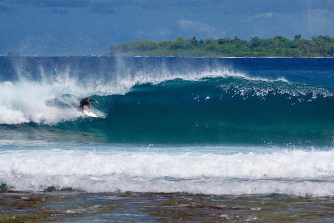 Experience Malibu with Exclusive 90-Minute Surf Lessons - Timing: morning vs afternoon starts that fit your Malibu day