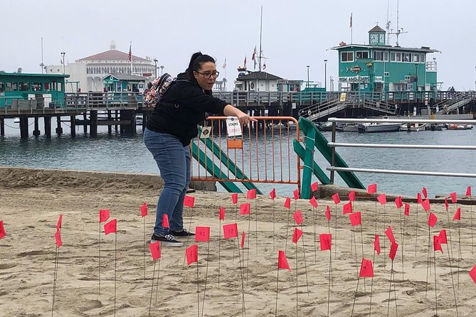 Fantastic Catalina Race - Stop 1: Catalina Island Casino area sightseeing in 15 minutes