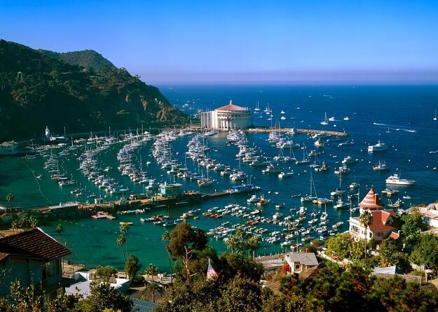 From LA: Catalina Island with Zipline Tour and Hotel Pickup - Key highlights worth planning for