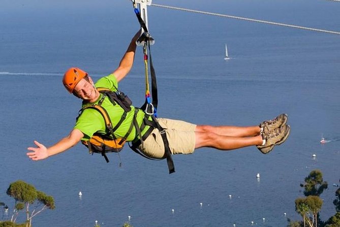 From LA: Catalina Island with Zipline Tour and Hotel Pickup - From LA to Avalon, without the stress