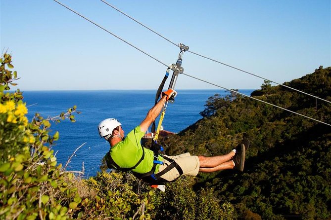 From LA: Catalina Island with Zipline Tour and Hotel Pickup - Food and comfort: what’s included, and what you must plan yourself