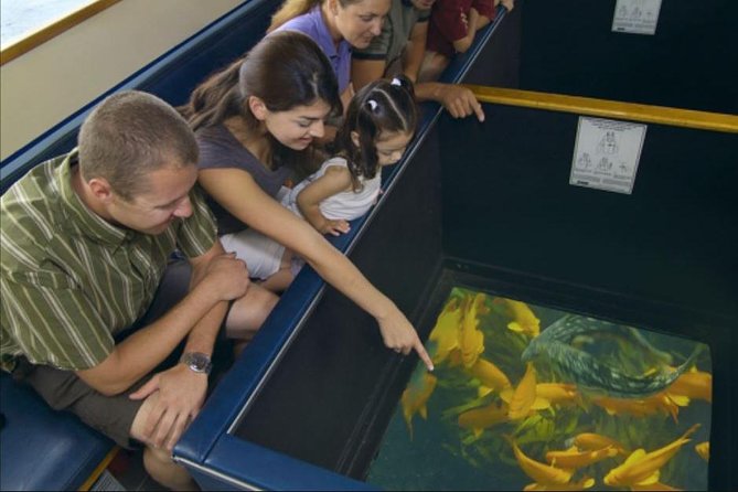 Glass Bottom Boat: Catalina Island Tour - Glass-Bottom Boat in Avalon: What You’re Really Paying For