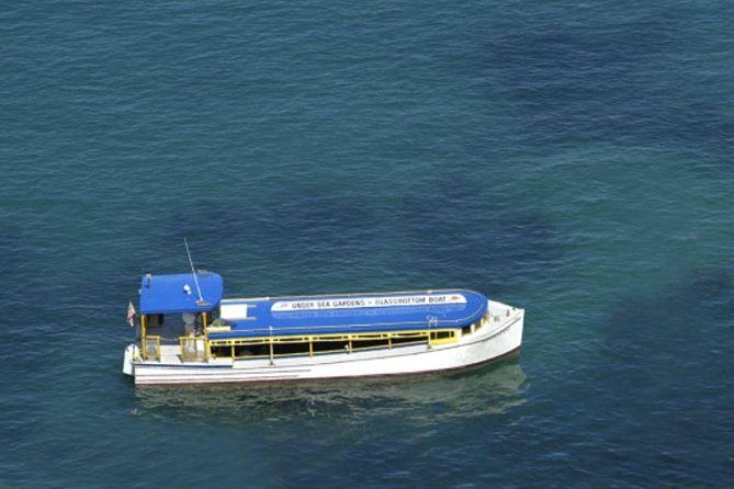 Glass Bottom Boat: Catalina Island Tour - Group Size and the Booking Reality: Getting on Without Stress