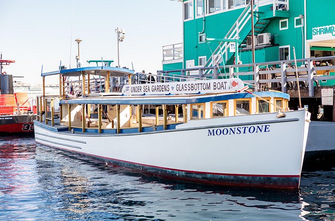 Glass Bottom Boat: Catalina Island Tour - Who Should Book This Glass-Bottom Boat Tour?