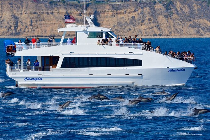 Guided Whale Watching Tour from Long Beach - Cruise Ship Terminal, Spruce Goose, and the port views you won’t forget