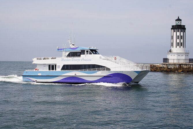 Guided Whale Watching Tour from Long Beach - Sealife Guarantee, and how to think about the odds