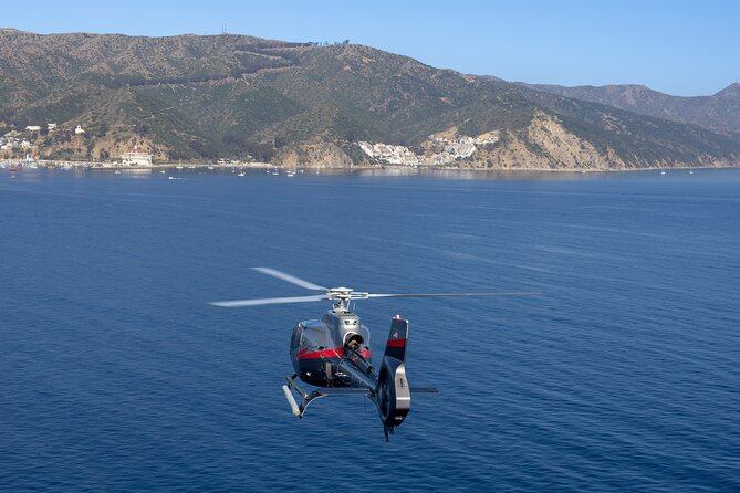 Helicopter Transfer: Long Beach to Catalina Island - Check-In at Maverick Helicopters: Simple, Fast, and Specific