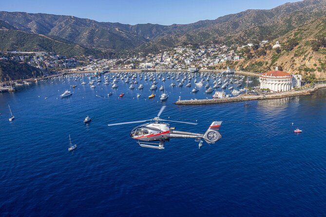 Helicopter Transfer: Long Beach to Catalina Island - Landing in Avalon: Your First Birds-Eye Look