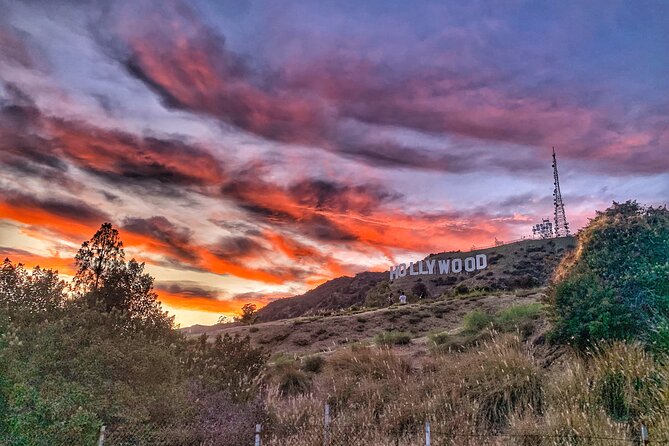 Hollywood Sign Express Tour with Comedians and Their Dogs - Water, timing, and the “small comfort” design
